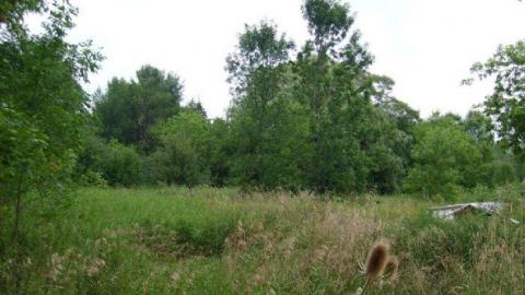 In the Summer - 26.jpg