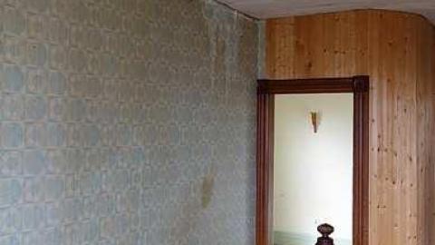 Neat Wood '16 - DSC08500.jpg