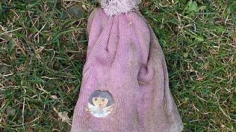 Neat Wood '16 - DSC08585.jpg