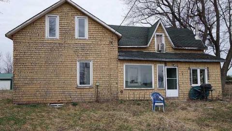 Triangular '16 - T.-Bird--Friends1.jpg