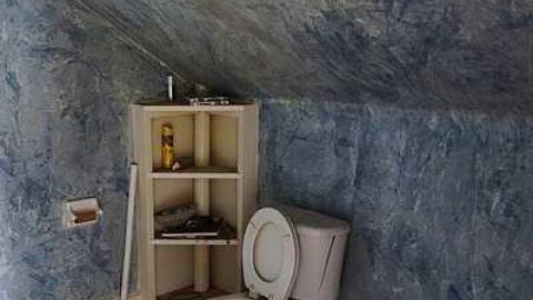 Triangular '16 - T.-Bird--Friends11.jpg