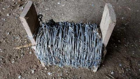 Triangular '16 - T.-Bird--Friends22.jpg