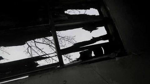 What are you Chicken? - w-16586786_1594521390562557_1425659585_o.jpg