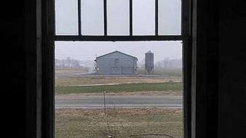 Photo from What are you Chicken?