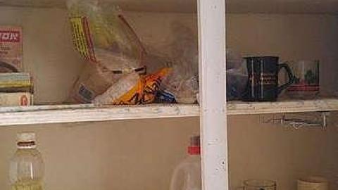 Photo from What are you Chicken?