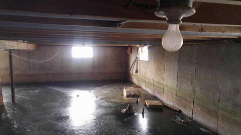 What are you Chicken? - f-16667176_1594522480562448_1467067131_o.jpg