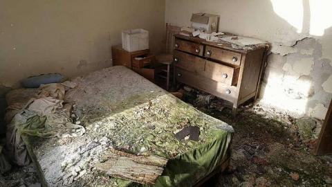 What are you Chicken? - q-16667246_1594522673895762_1784770186_o.jpg