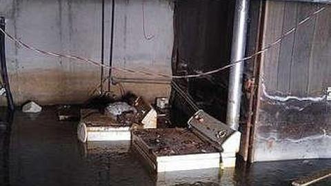 What are you Chicken? - v-16699837_1594522440562452_156980833_n.jpg