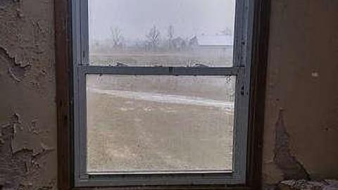 Photo from What are you Chicken?