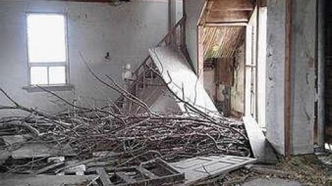 What are you Chicken? - m-16700001_1594521067229256_1539977178_n.jpg