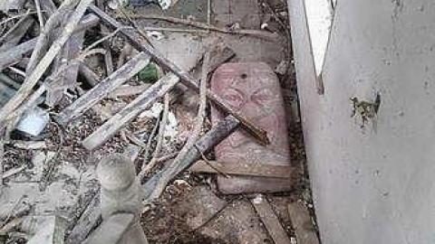 What are you Chicken? - x-16706762_1594521567229206_1695390195_n.jpg