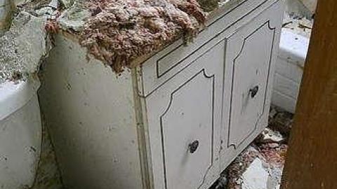 What are you Chicken? - q-16706907_1594521737229189_779685475_n.jpg