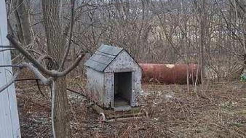 Photo from Fill'er up