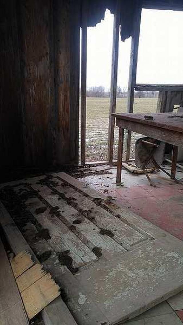 Shabby Shack - s-16652070_1594523300562366_906386869_n.jpg