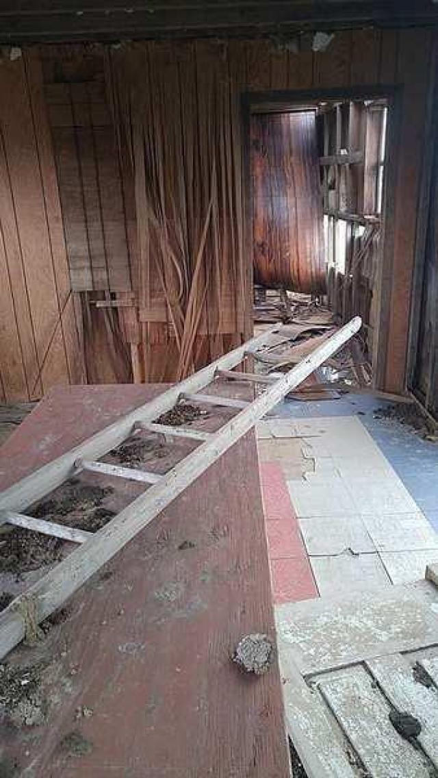 Shabby Shack - m-16683361_1594523103895719_948854287_n.jpg