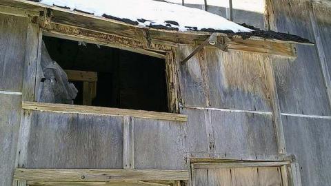 wintery day - Burnt-and-a-Dash-of-Collapse5.jpg