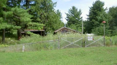 Blairton Baby cover photo