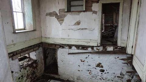 It was a foggy day... - DSCN4796.jpg