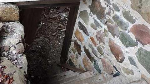 It was a foggy day... - DSCN4826.jpg