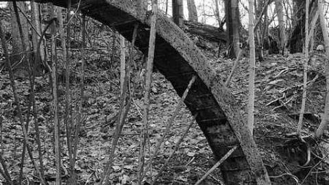 January 2017 - Abandoned-Water-Wheel27.jpg