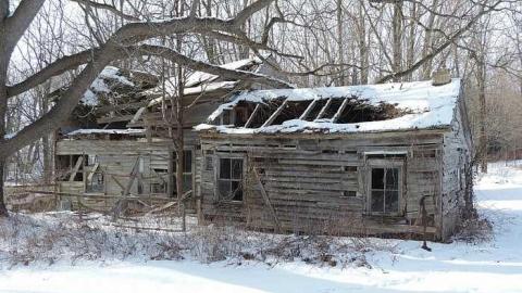 License Plate Address cover photo