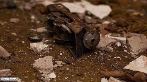 Dairy Farm - IMG_4962.jpg