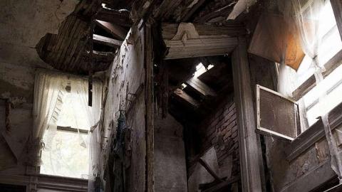 Dairy Farm - IMG_4966.jpg