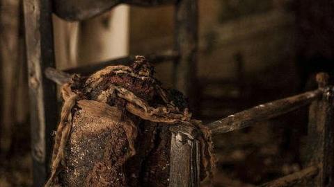 Dairy Farm - IMG_4983.jpg