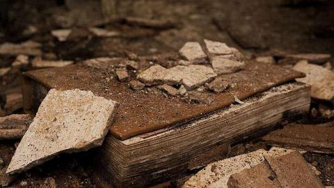 Dairy Farm - IMG_4989.jpg