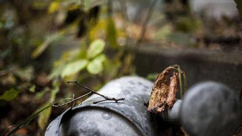 Dairy Farm - IMG_4856.jpg