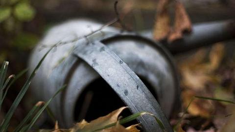 Dairy Farm - IMG_4859.jpg