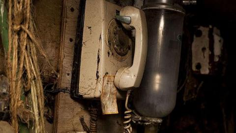 Dairy Farm - IMG_4903.jpg