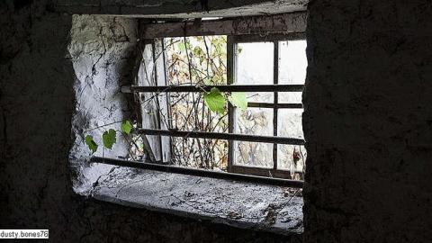 Dairy Farm - IMG_4921.jpg