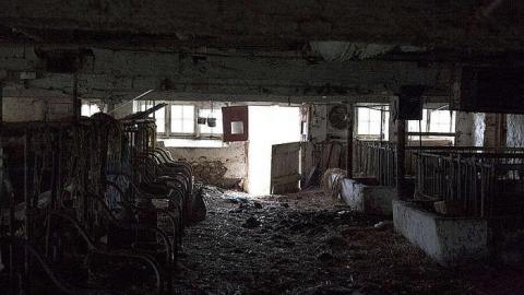 Dairy Farm - IMG_4923.jpg