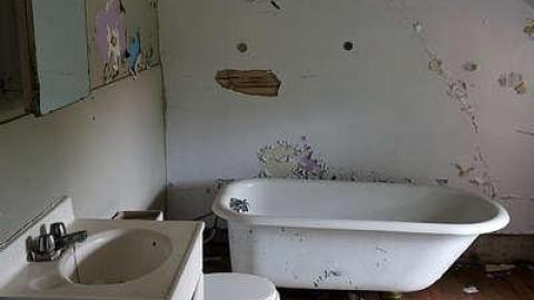 Mickey '16 cover photo