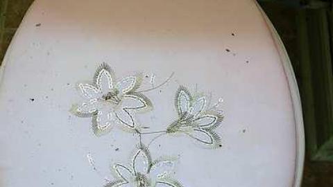 A Dream '16 - DSC01902.jpg