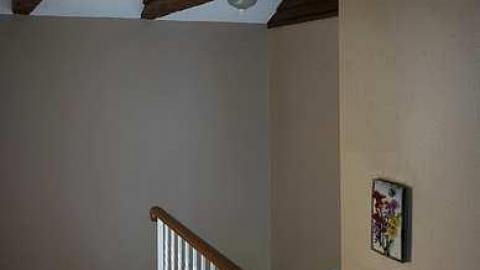 Race Cars & Fairies photo 5