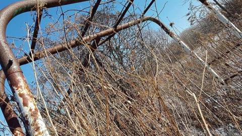 Cute crumbling house - 20170218_141327.jpg