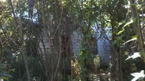 eagle farm works - The-Works-Eagle44.jpg