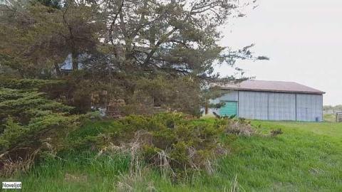 Summer 2016 - Image3.jpg