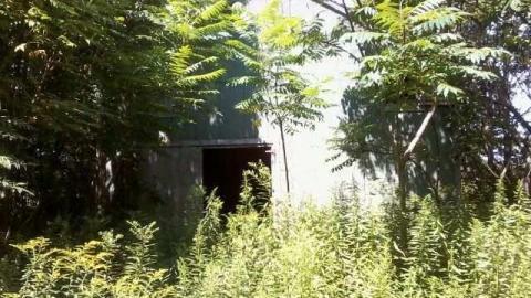 eagle farm works - The-Works-Eagle50.jpg