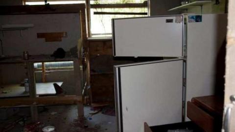 European Wicker Imports photo 4