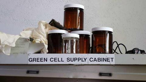 Define & Describe '16 - Arthur-Meighen-School98.jpg