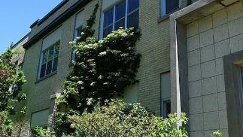 Define & Describe '16 - Arthur-Meighen-School101.jpg