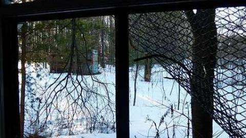 Strange Brew - Strange-Bunker8.jpg