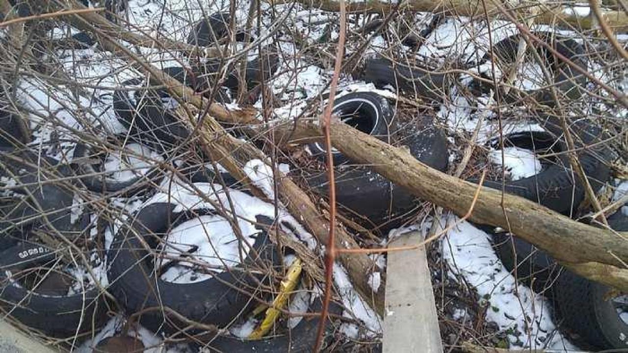 Canview Auto Shop - n-16832844_1606676559347040_1679491269_o.jpg