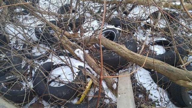 Canview Auto Shop - n-16832844_1606676559347040_1679491269_o.jpg