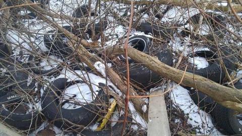 Photo from Canview Auto Shop