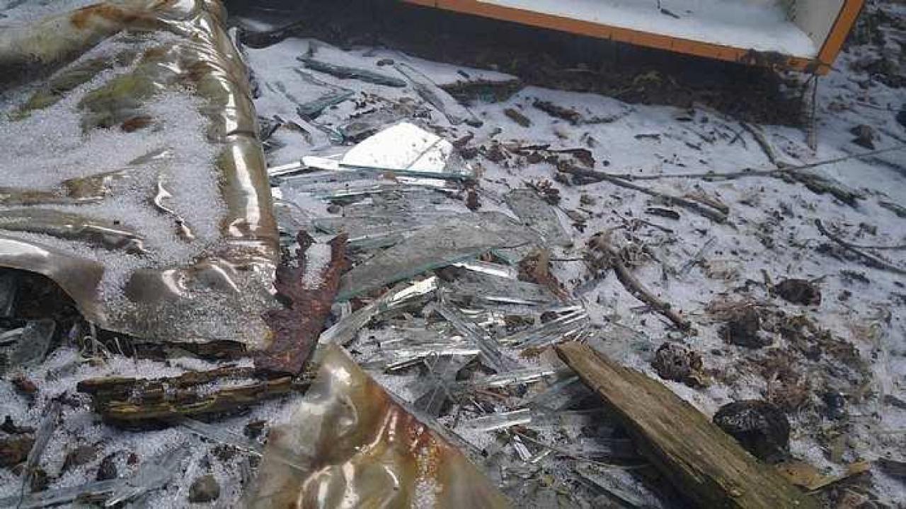 Canview Auto Shop - j-16879961_1606676679347028_784125517_o.jpg