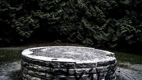 Cullen Gardens- Patly Mill - Patly-Mill-of-Whitby20.jpg